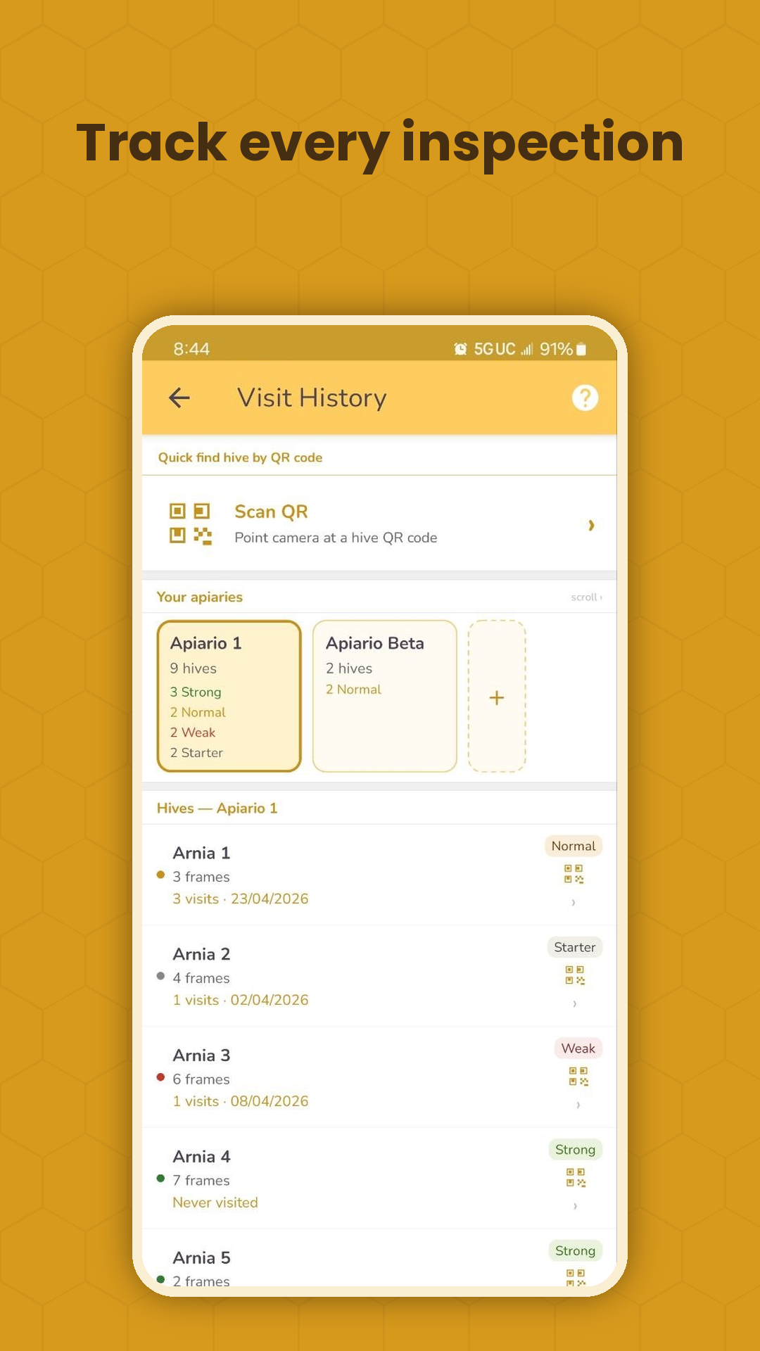 Bee Manager — visit history and inspections per hive